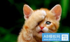 口语翻译-在线口语翻译