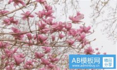 古色古香图片-古色古香唯美图片
