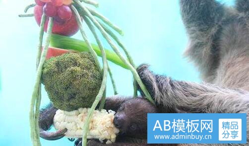 三站长之家手机版