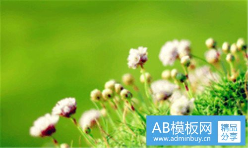 三中野和华野的区别