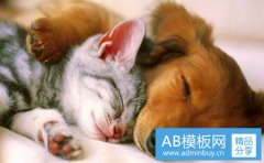 重庆万盛-綦江万盛合并打架图片