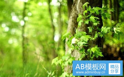 三凯恩斯三大理论