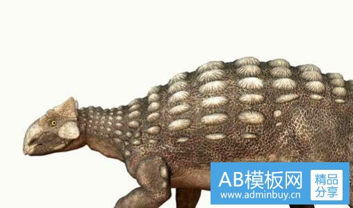 三世界最大钻石库利南