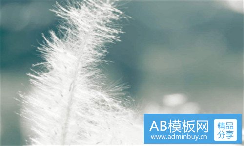 三伟大的疯狂观后感怎么写