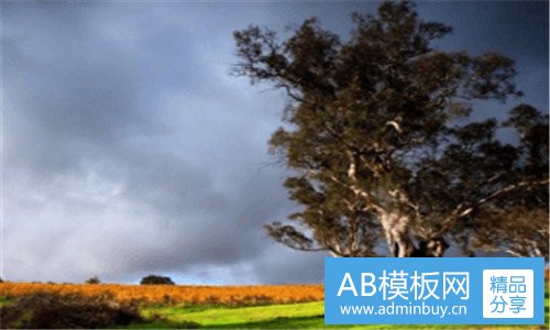 二奶油狗长什么样子