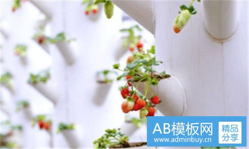 二一周西式早餐食谱