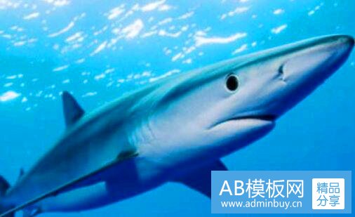 二雅诗兰黛小棕瓶用后感