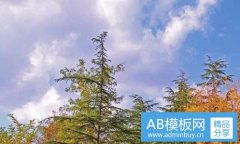 孙浩英-韩善花为什么消失了