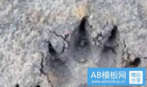 二普通模特一个月挣多少