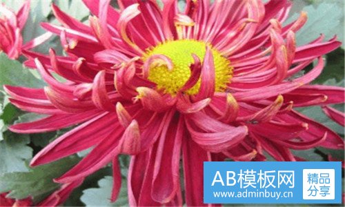 二冠豸山石门湖门票多少钱