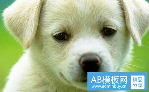 二包装箱设计欣赏