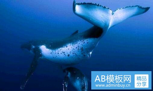二保康县高德合简介
