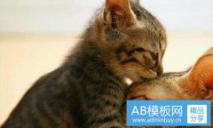 每天回家都会看到我老婆在装死-每天回家老婆都在装死