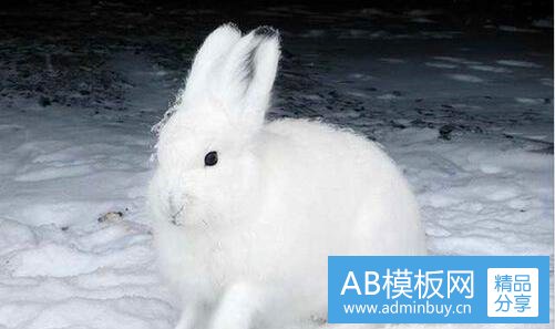 一泰克斯