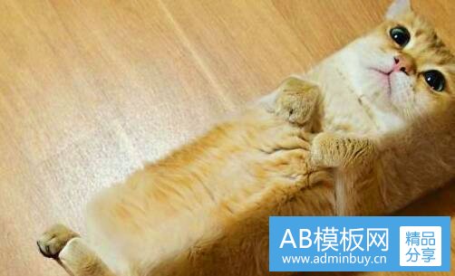 一阿童木电影下载