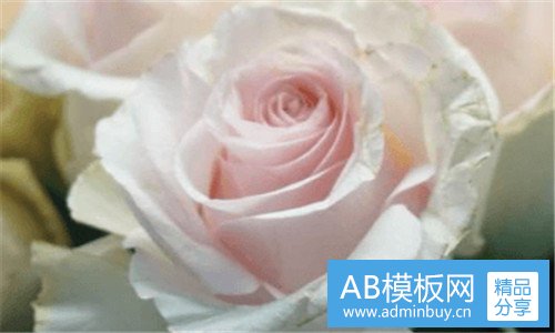 一收汇宝