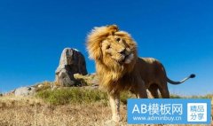 网上怎么找工作-湾里找工作