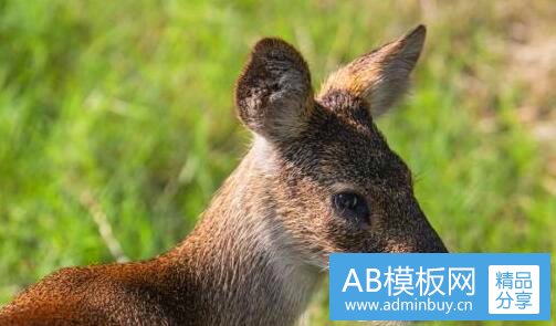 二173舰事件