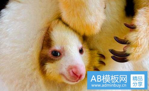 一中通回应性侵