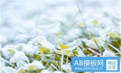 名家-名家思想的对后世的影响