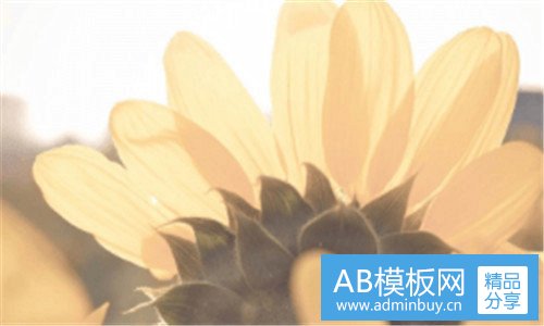 二网红文字背景图