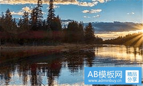 三一幅动物乐园的画