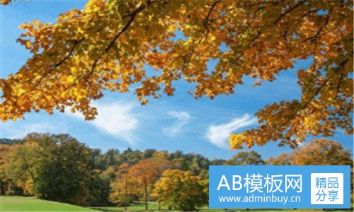 一家用储物柜