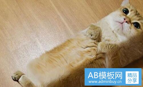 一航晟