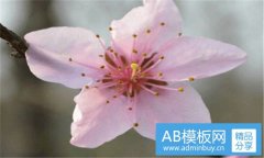 ps初级教程-ps初学者基础教程