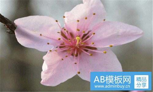一ps初级教程