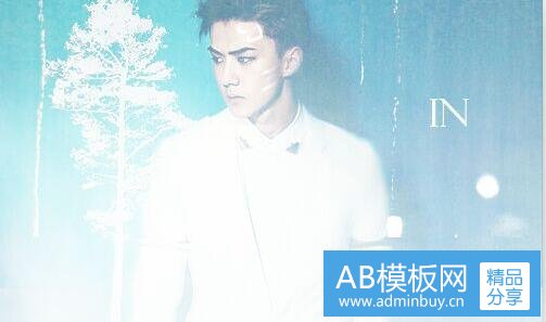 二金合欢有什么寓意