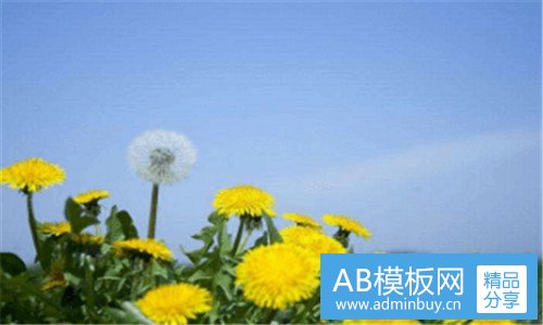 二中国几大区域的划分图