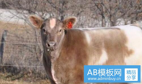 三中国地区划分图