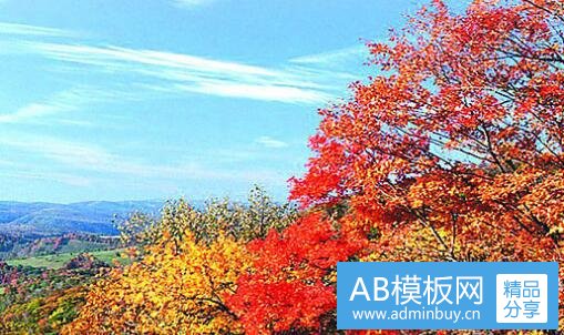 二第54届格莱美完整视频