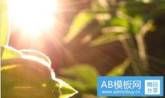 贯叶连翘-我吃圣约翰草提取物的经历