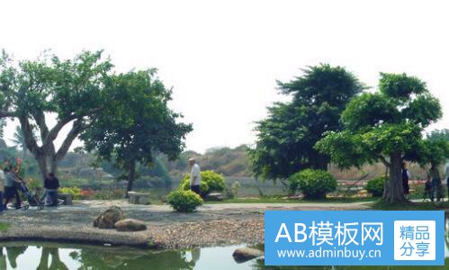 二怎么样做网站