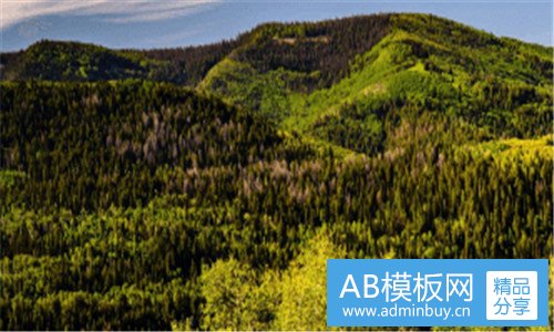 二阳朔兴坪渔村介绍