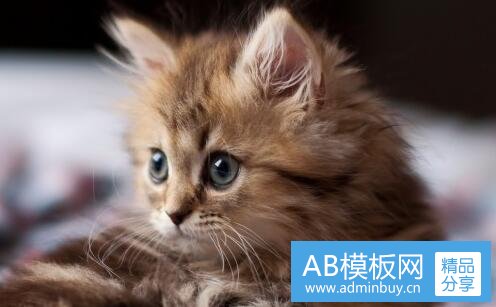 二塞翁失马焉知非福的故事
