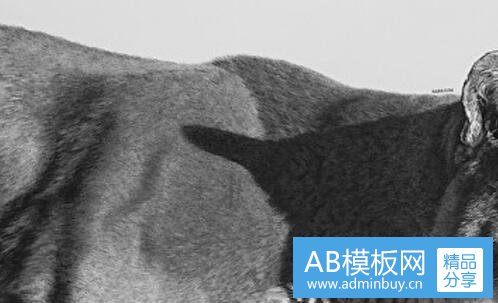 三美团bdm岗位理解
