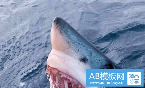 一天外飞仙