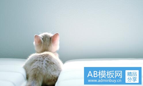 一华宇金信