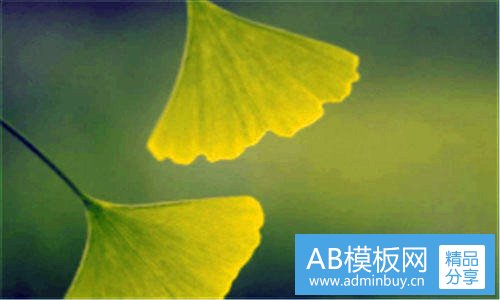 一海德哲基尔与我