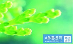 初学者吉他谱-新手超简单吉他谱大全
