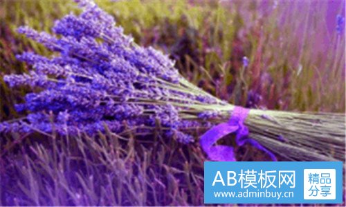 二新奥燃气正式员工待遇