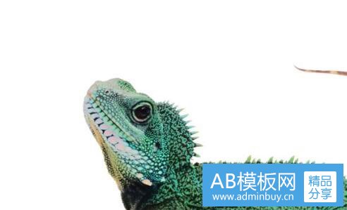一可爱的qq名字