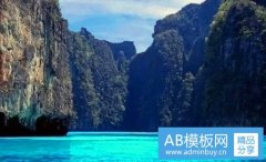 水杉图片-水杉图片大全大图