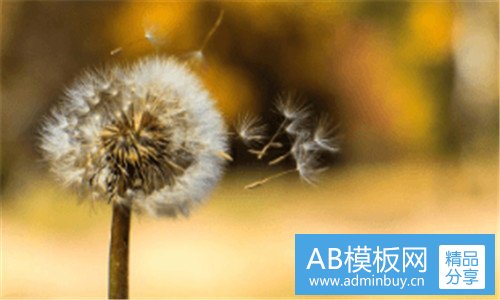 二哪吒魔童降世完整版在线观看