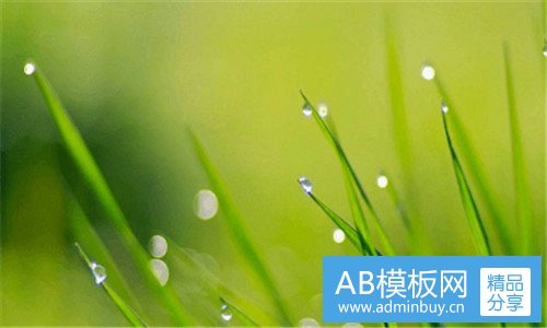 一彩虹雨