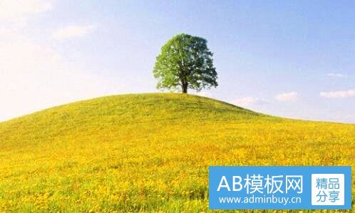 三herschel是什么档次