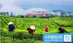 一次性水杯-生产一次性杯子利润